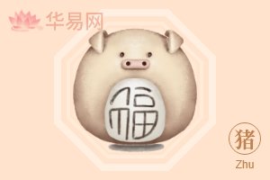 生肖猪