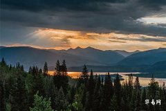 叫月的女人命运