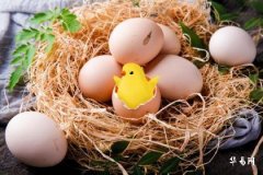 93年属鸡剑锋金命女孩：晚婚趋势与个人特质解析