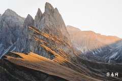 属兔不能带菩提的原因,兔子辟邪最厉害的东西