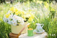 新车牌号码测吉凶打分，1518车牌号码测试打分