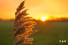 本命年可以搬家吗,本命年搬家大忌三件事