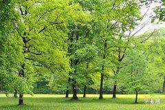 2025五行缺水取名大全,女孩缺水取名大全文雅