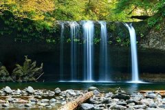 1987年属兔的是什么命,属兔人的四个孽缘