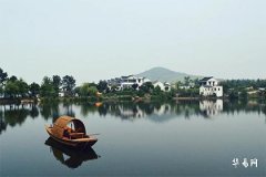 木命养鱼适合多少条：五行调和与运势提升指南