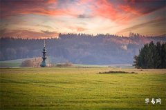 木命人数字选择：平衡五行，提升运势