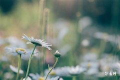 结婚第一年过年在哪家过年，四种选择让你无忧过年