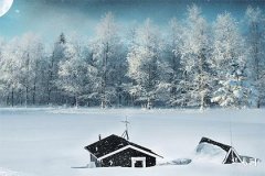 1971年属猪财运方向,属猪人不宜去的城市