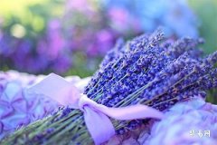 80年木命与76年土命合不合