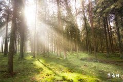 五行缺金最旺的名字,2025属蛇缺金男孩名字大全