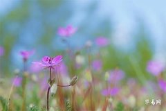 元宵节不能剪头发吗,正月十五能过生日吗