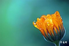 2025五行缺土男孩取名最佳用字,缺土的男孩名字最新