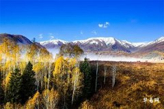 木命有哪些最吉利名字