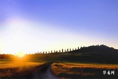 83年属猪五行属什么命,什么最旺大海水命的人