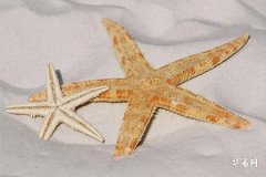 2025女孩子五行属土吉利字,女孩缺土名字大气文雅