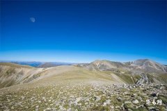 男土命女金命婚姻好吗