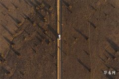 汽车牌照号码有吉凶之说法吗,车牌号码如何选择