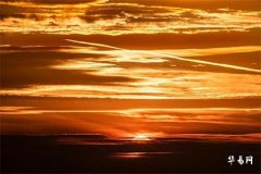 95年猪2026年运势及运程,95猪男2026喜事预兆