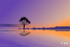 如何理性选择车牌号吉祥数字,90分以上的车牌号