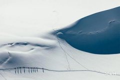 1981年木命和1988木命合不合