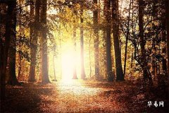 1991年土命和什么命最配