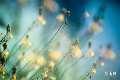 2025五行缺金最旺男孩名字,五行缺金是什么命