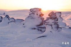 74年属虎人适合做什么行业,74虎人干什么一碰就发财