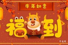 85年牛海中金能佩戴金饰吗：五行调和与饰品选择