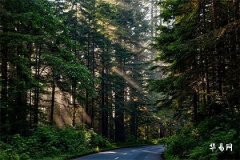 91年土命和94年火命好吗