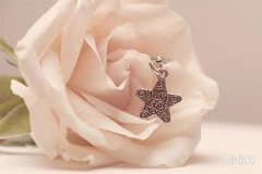 2005属鸡五行属什么命,2005几月鸡最有福气