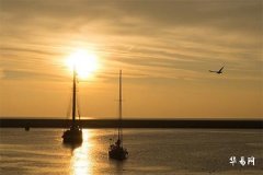 小运播报每日运势2023年11月17日十二生肖今日运势