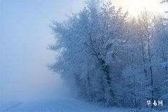 不惑之年什么意思,已过不惑之年什么意思