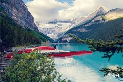 木命养花养不活吗,不适合养花的命格