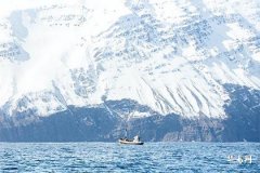 五行缺木火的幸運色, 五行缺木補什麽顏色