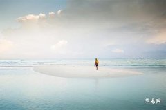 木命一共多少种？六种木命特征与命运解析