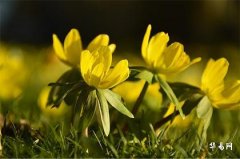 五行补金最强的字女孩,女孩五行缺金的最佳名字2025