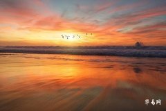 87年属兔办公桌风水,属兔的吉位和凶位