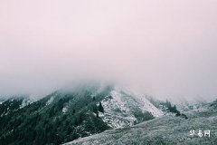 名字中有哪些字是美女,一听就漂亮的女生名字