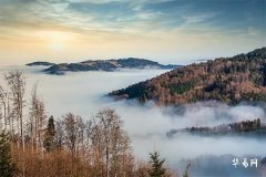 92年猴2026年财运如何,92年属猴女有啥福气