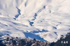 本命年怎么算开始结束,属蛇人的本命年大忌