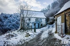 五行配对：1988年木命与1987年火命相生相克解析