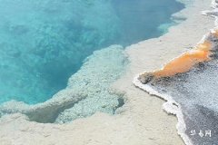 本命年真的不能结婚吗,2025属蛇适合结婚吗