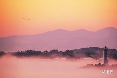 属虎做什么最容易发财,86虎人最佳发财方向