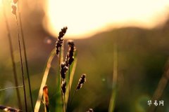 犯太歲、沖太歲、刑太歲、害太歲、破太歲和合太歲詳解