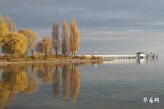 4个血型哪个血型最贵,有钱人都是A型血吗