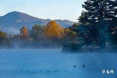 叫青的女人命运