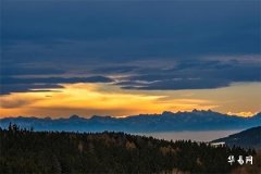 女命伤官财旺走伤官大运好吗,为什么女怕走伤官运