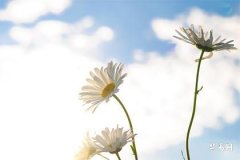 家居风水：反光煞如何化解