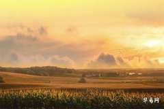 2024屬龍孩子起名要帶什麽部首_屬龍最吉利的50個字