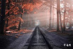 1989年木命与1986年火命：性格命运解析